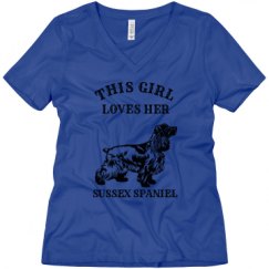 Ladies Relaxed Fit V-Neck Tee