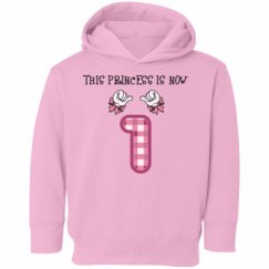 Toddler Hooded Sweatshirt