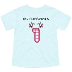 Toddler Triblend Tee