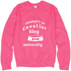 Unisex Neon Crewneck Sweatshirt