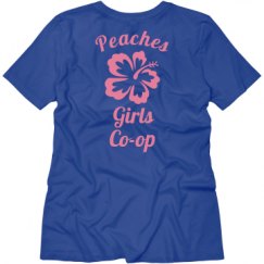 Ladies Relaxed Fit V-Neck Tee