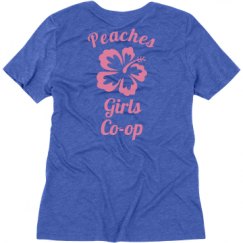 Ladies Relaxed Fit Super Soft Triblend V-Neck Tee