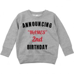 Toddler Crewneck Basic Promo Sweatshirt