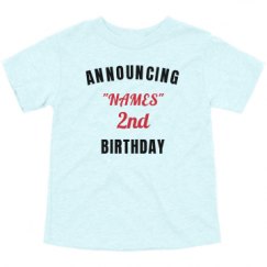 Toddler Triblend Tee