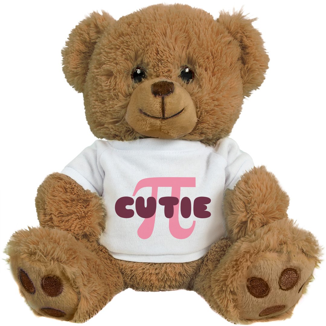 Cutie Pi Math Fun - 10 Inch Teddy Bear Stuffed Animal | Customized Girl