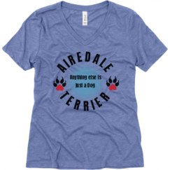 Ladies Relaxed Fit Super Soft Triblend V-Neck Tee