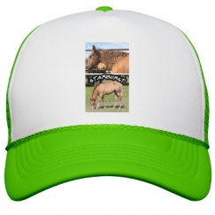 Snapback Trucker Hat