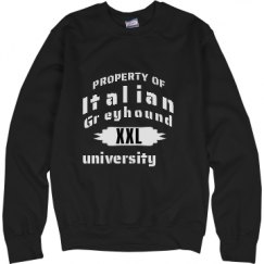 Unisex Basic Promo Crewneck Sweatshirt